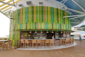 Lime & Coconut Deck 17