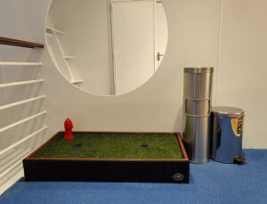 Rover´s Place
