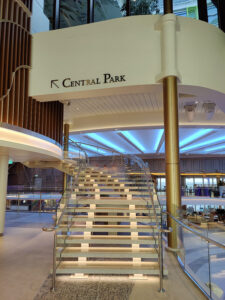 Treppe zum Central Park