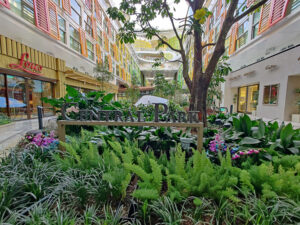 Central Park
