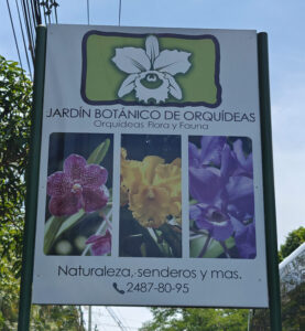 Botanical Orchid Garden