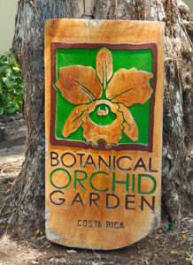 Botanical Orchid Garden
