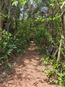 Wanderweg