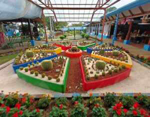 Kakteen-Garten
