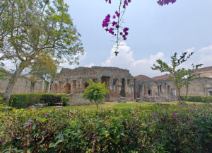 Zellen-Gebäude