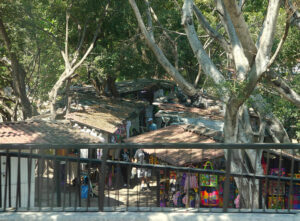 Cuale Island
