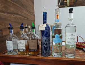 Tequila Verkostung