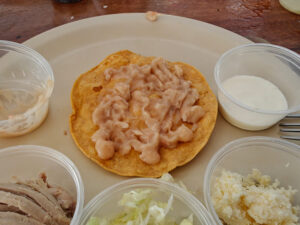 Chicken Tostada