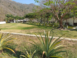 Hacienda La Dulce Vista