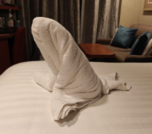 Handtuch-Robbe