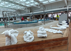 Eurodam Towel Animal Zoo 2024