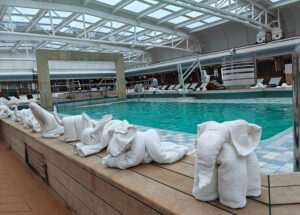 Eurodam Towel Animal Zoo 2024