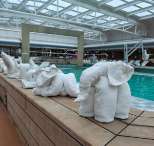 Eurodam Towel Animal Zoo 2024