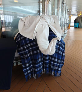 Eurodam Towel Animal Zoo 2024