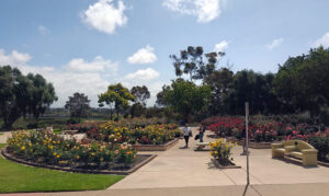 Balboa Park