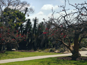 Balboa Park