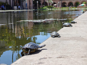 Balboa Park