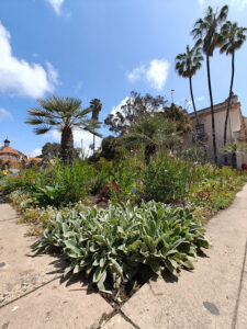 Balboa Park