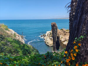 Goldfish Point