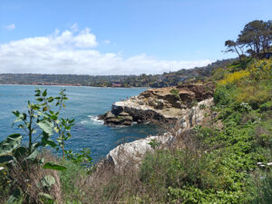 Goldfish Point