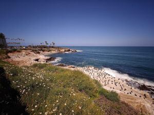 La Jolla Cove