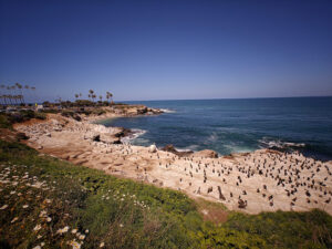 La Jolla Cove