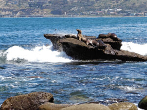 La Jolla Cove