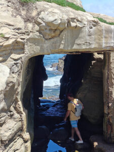 La Jolla Cove