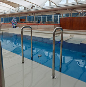 Eisbär im Pool