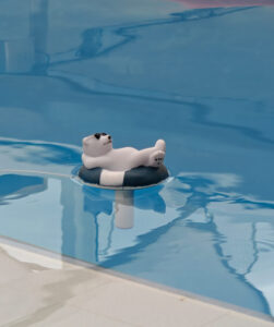 Eisbär im Pool