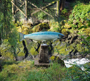 an der Salmon Ladder