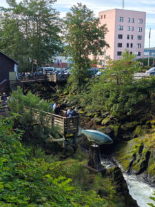 an der Salmon Ladder