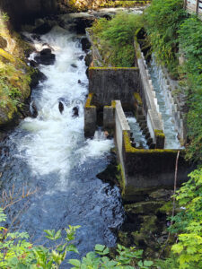 an der Salmon Ladder