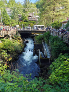 an der Salmon Ladder