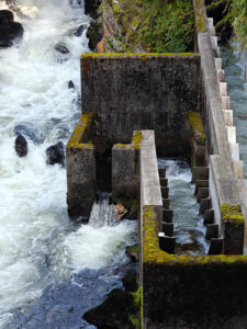 an der Salmon Ladder