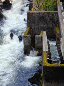 an der Salmon Ladder