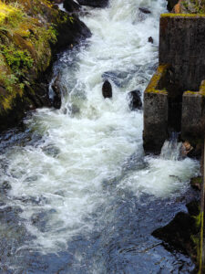 an der Salmon Ladder
