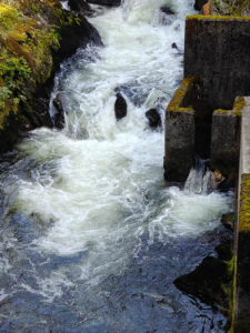 an der Salmon Ladder