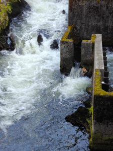 an der Salmon Ladder