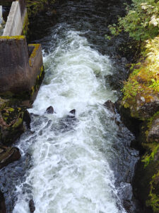 an der Salmon Ladder