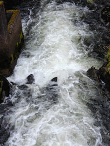 an der Salmon Ladder