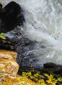 an der Salmon Ladder