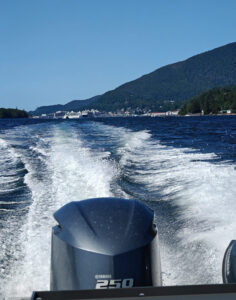 mit dem Schnellboot zur Orca Cove
