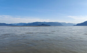 Stikine Delta
