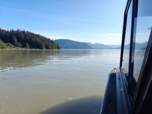 Stikine River