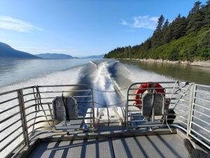 Stikine Delta