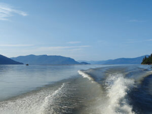 Stikine Delta