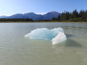 beim Shakes Glacier