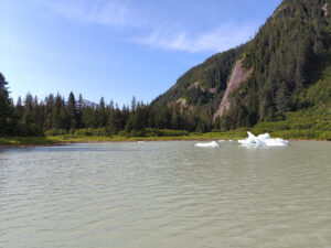 beim Shakes Glacier
