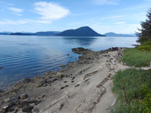 Petroglyph Beach
